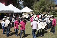 Ferias y Fiestas de pueblo