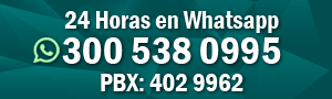 contáctenos por whatsapp